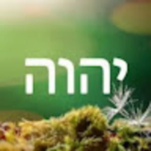 Meet your Posher, Hazel